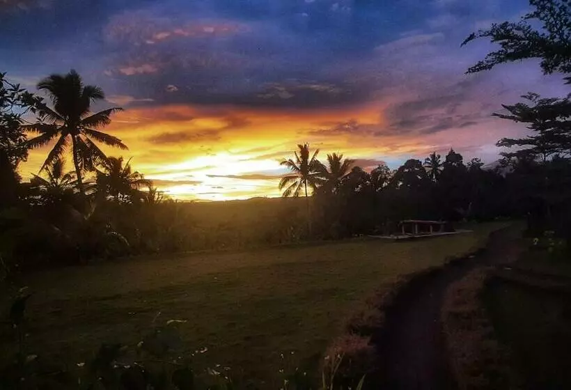 Majatalo Omah Bapak Ijen Eco House