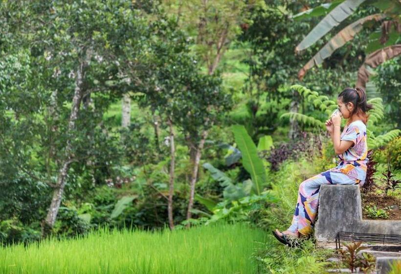 פנסיון Omah Bapak Ijen Eco House