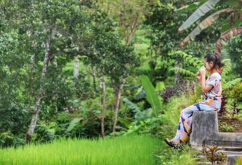 Majatalo Omah Bapak Ijen Eco House