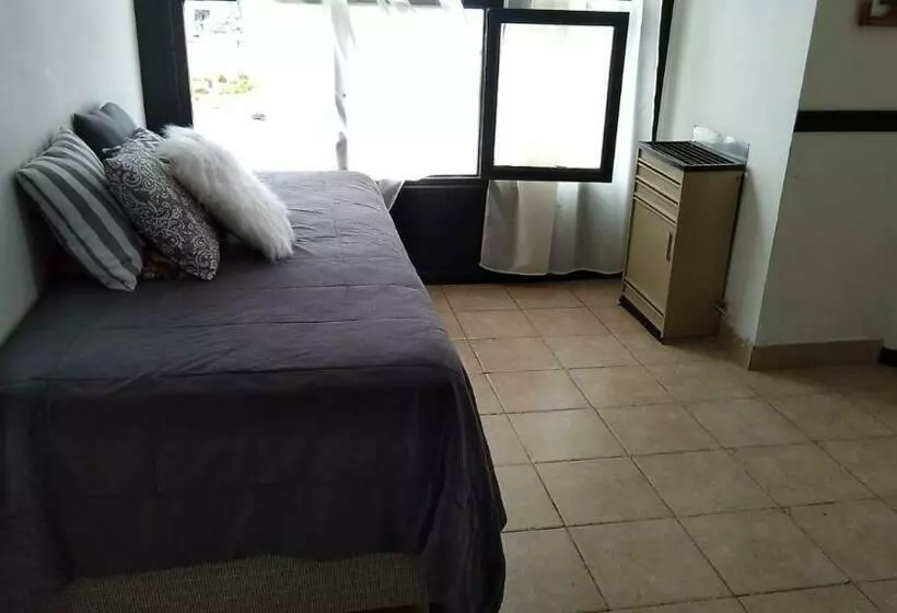 Beagle House Centro