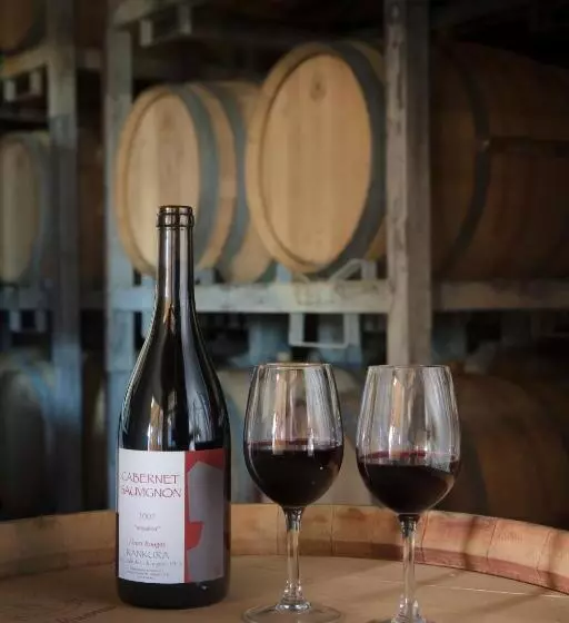 ベッドアンドブレックファースト Viña Kankura