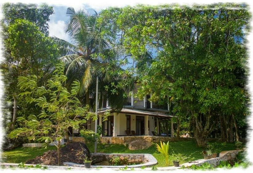 פנסיון Lush Green Villa