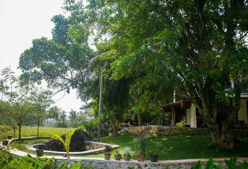 פנסיון Lush Green Villa