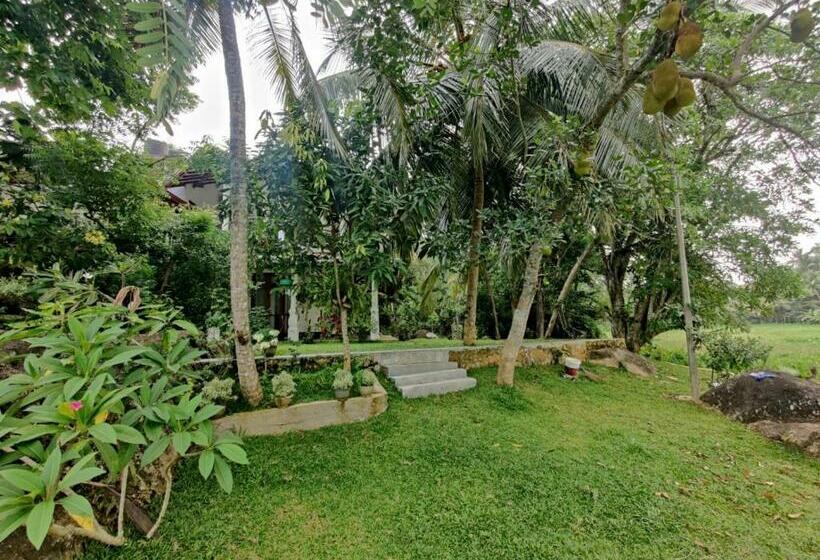 פנסיון Lush Green Villa