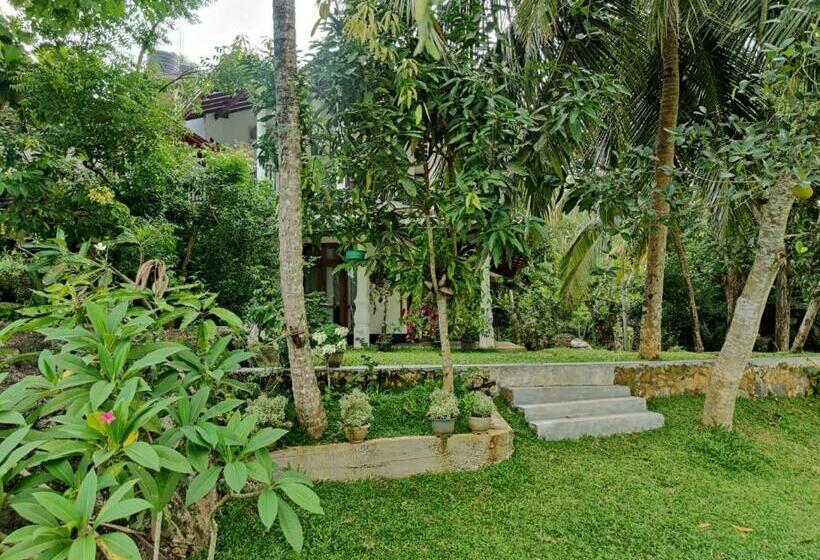 פנסיון Lush Green Villa