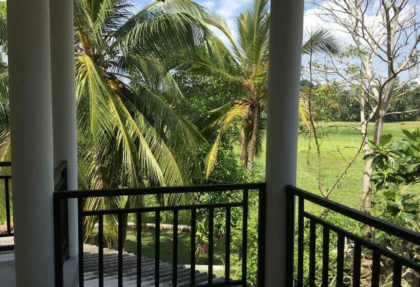 פנסיון Lush Green Villa