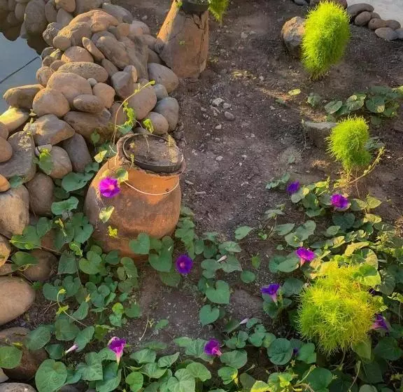 پانسیون Unoyan Guest House