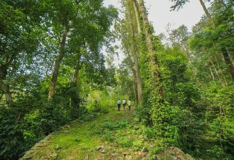 Wow Bison Woods Organic Veg Resort   Yercaud