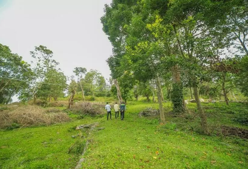 Wow Bison Woods Organic Veg Resort   Yercaud