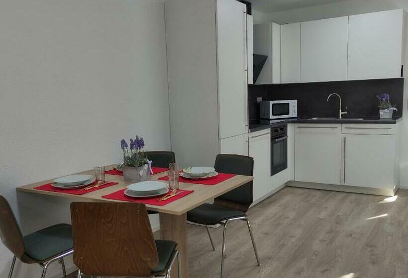 2 Zimmerwohnung In Bietingen