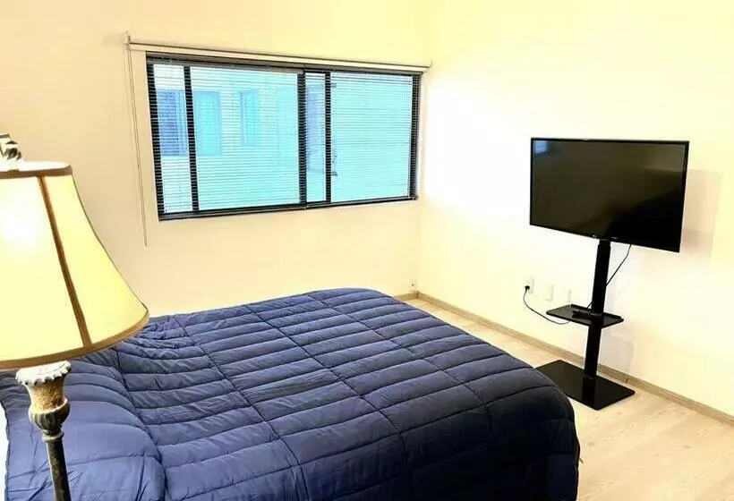 Apartment In The Touristic Heart Of Mexico City
