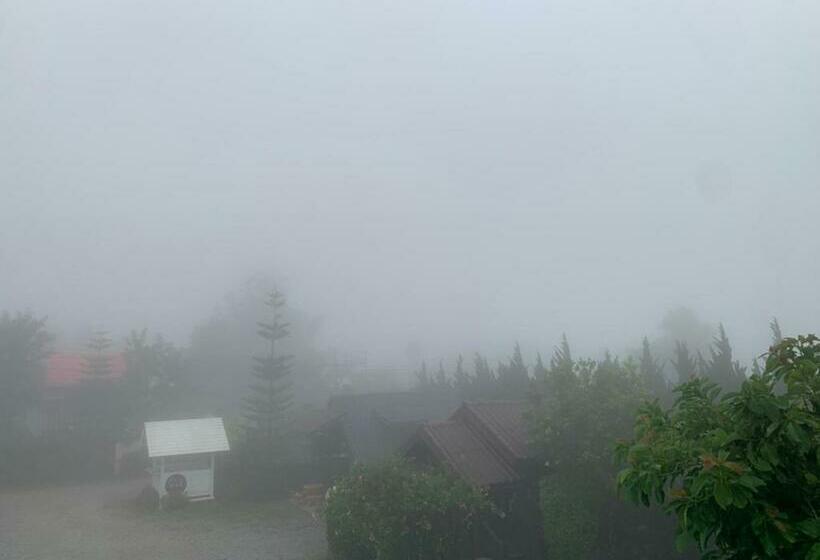 تختخواب و صبحانه นอนนี่แอทเขาค้อ