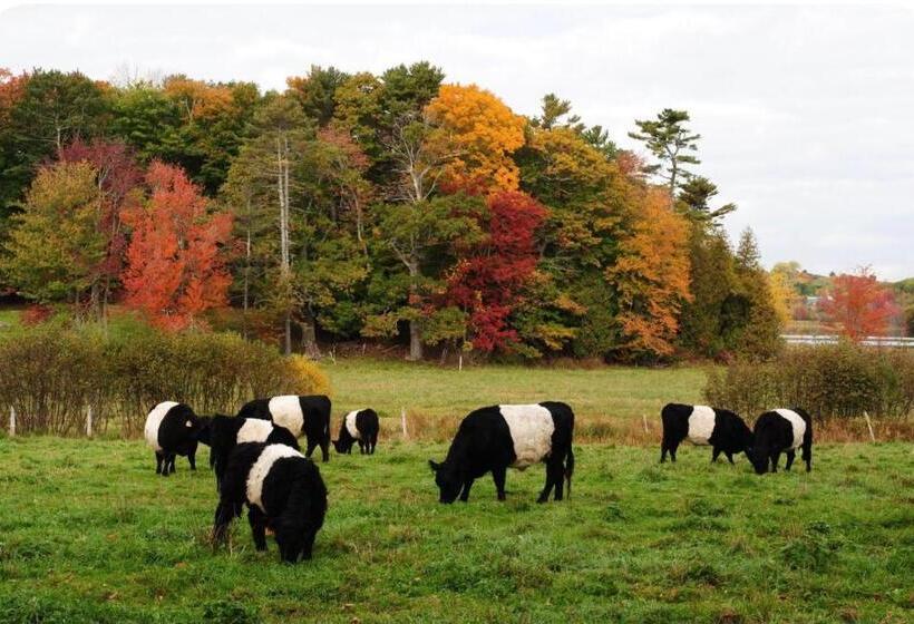 بنسيون Adorable Garden Suite