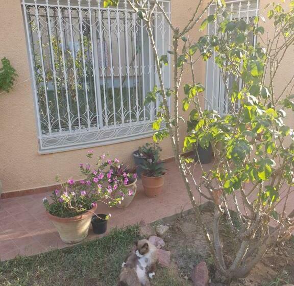 膳宿费 Dar Noucha