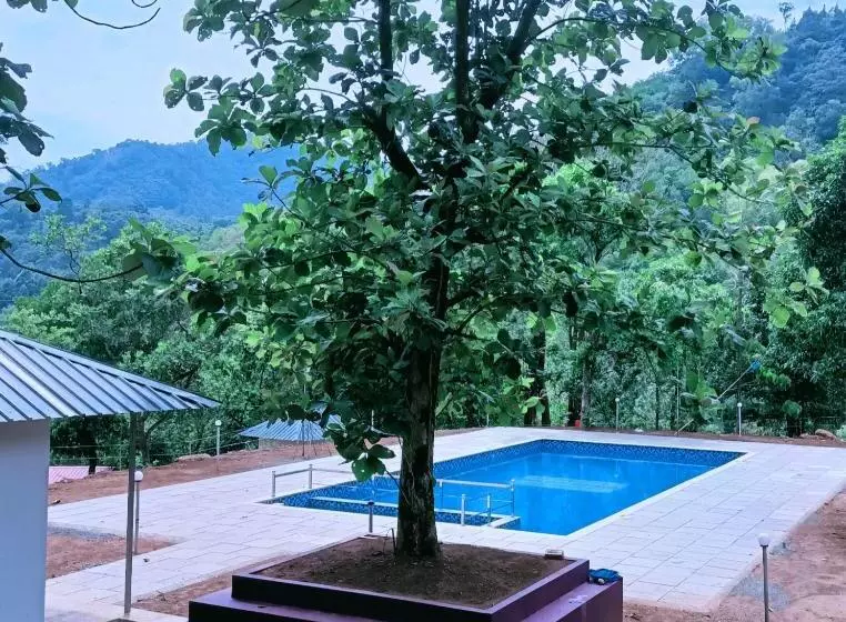 Forest And River Edge Resort