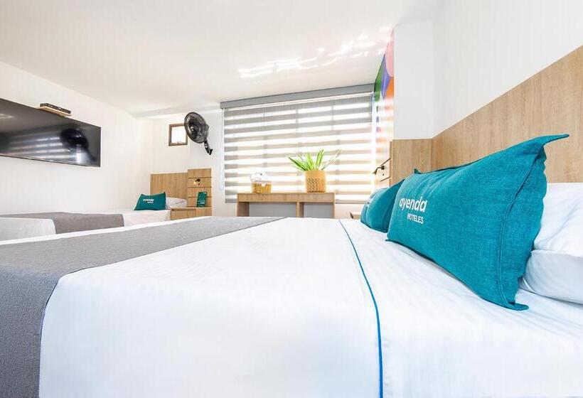 Отель Medallo City