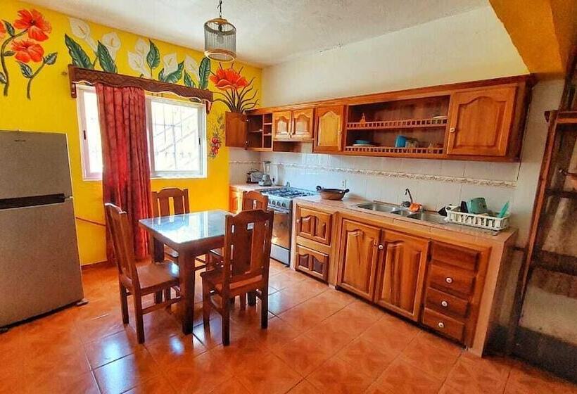 膳宿费 Bungalows Mirna Manzanillo