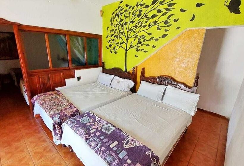 膳宿费 Bungalows Mirna Manzanillo