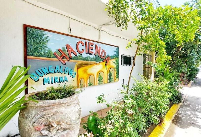 膳宿费 Bungalows Mirna Manzanillo