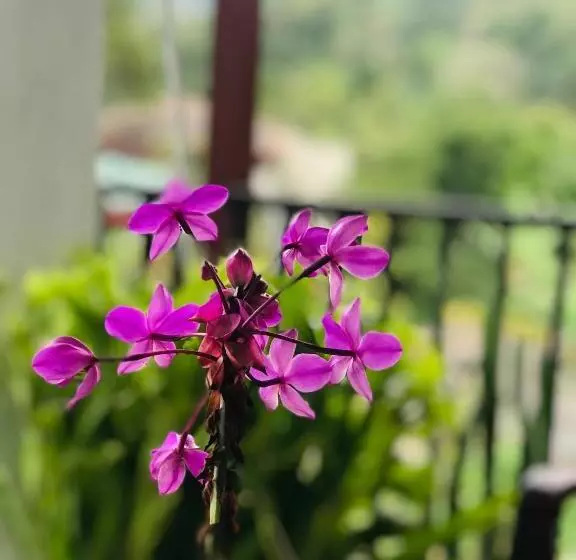 Majatalo Mirador Cottage