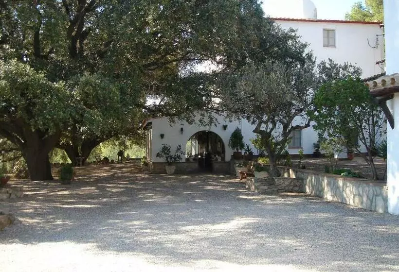 Masia Rural Les Alsines