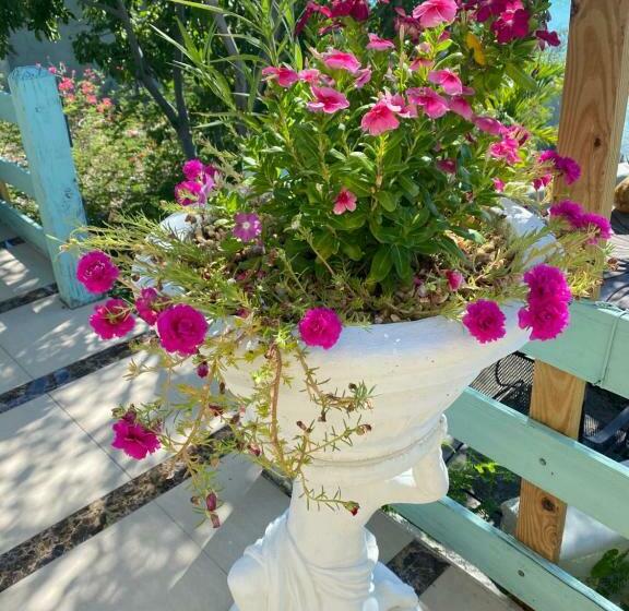 Waterfront Home In The Providenciales