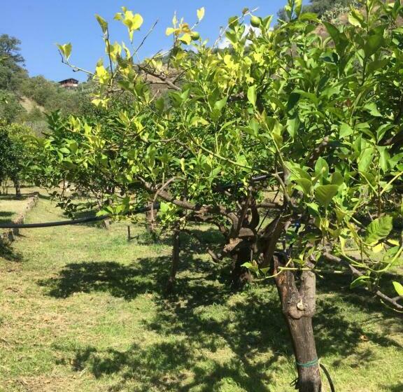 Louis Armstrong   Appartamento Vicino Taormina
