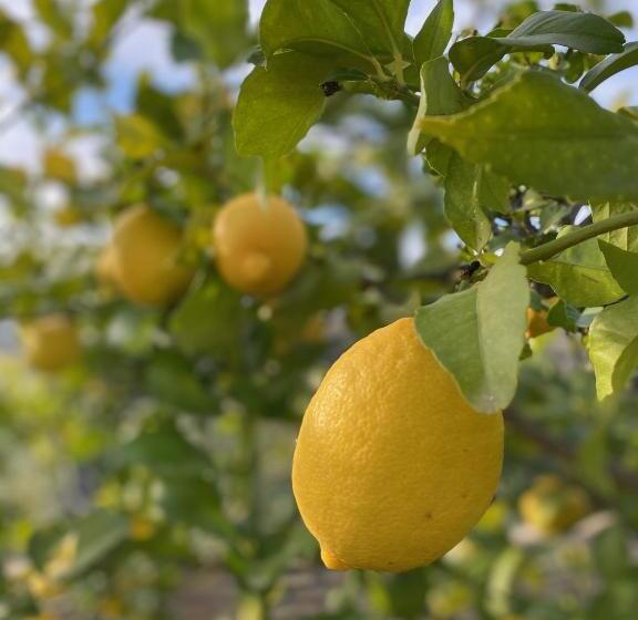 Luxury Villa With Fantastic View