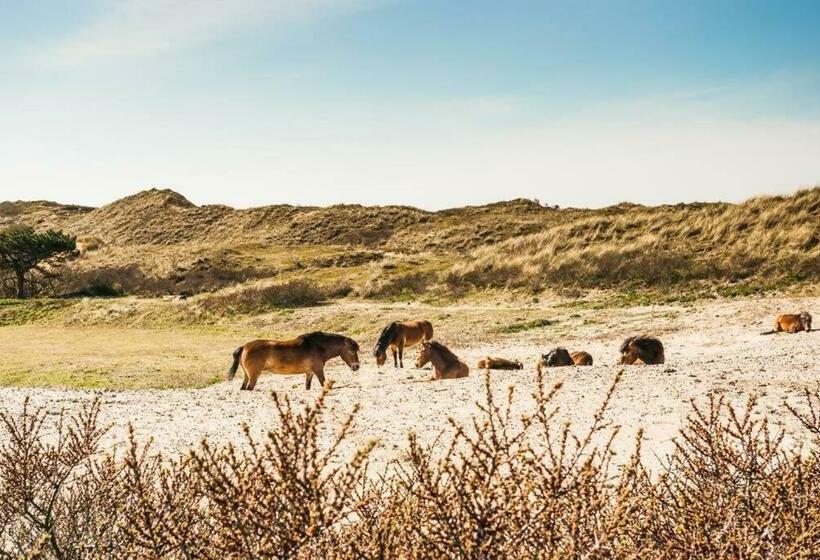 Vakantiewoning  T Juttershuis Egmond Aan Zee