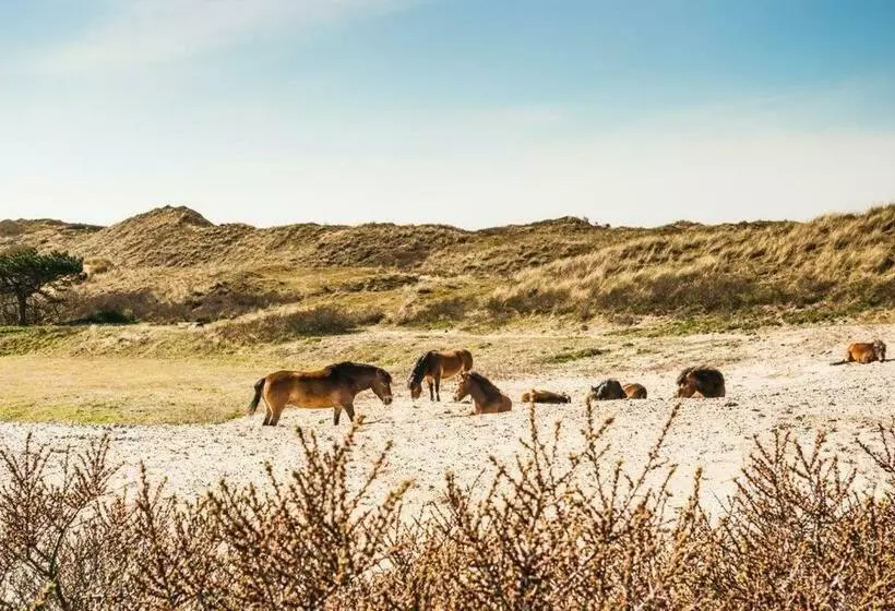 Vakantiewoning  T Juttershuis Egmond Aan Zee