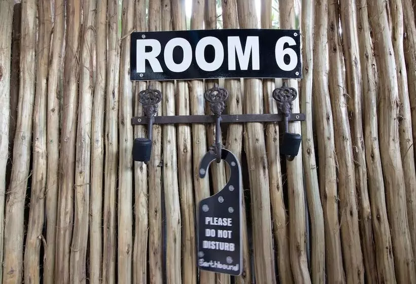 تختخواب و صبحانه Earthbound Guest House