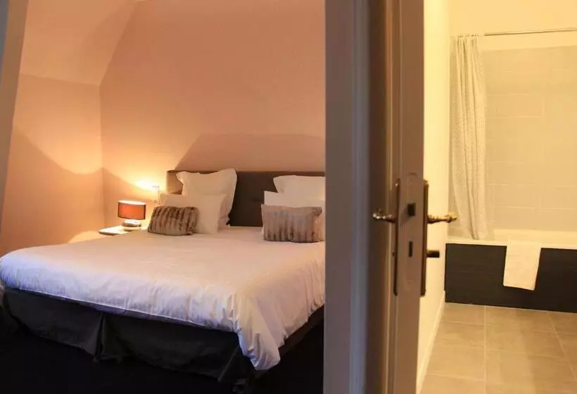 Отель Château De La Menaudière