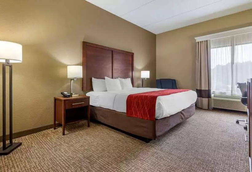 酒店 Comfort Inn & Suites Mocksville I 40