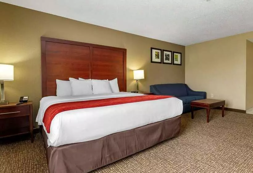 酒店 Comfort Inn & Suites Mocksville I 40