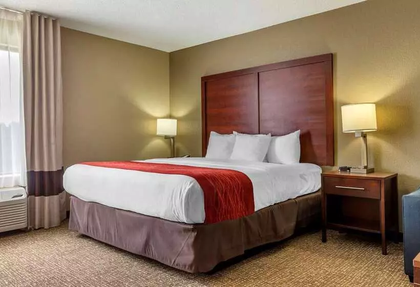 酒店 Comfort Inn & Suites Mocksville I 40