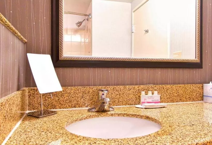 호텔 Courtyard Blacksburg