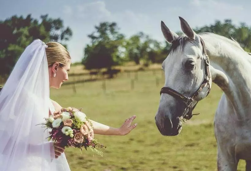 酒店 Hétkúti Wellness