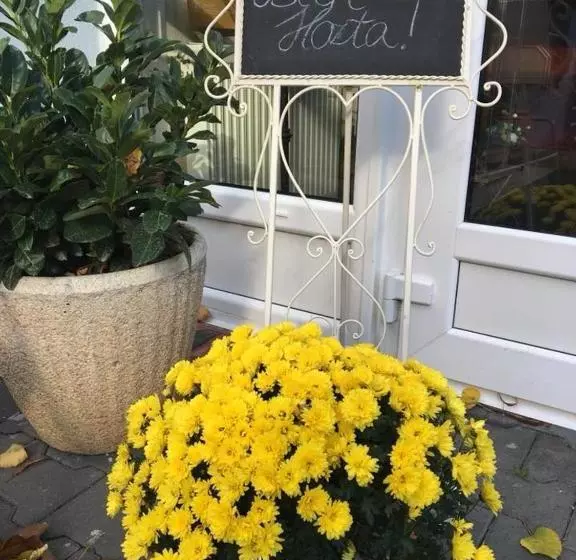 ホテル Solar Club