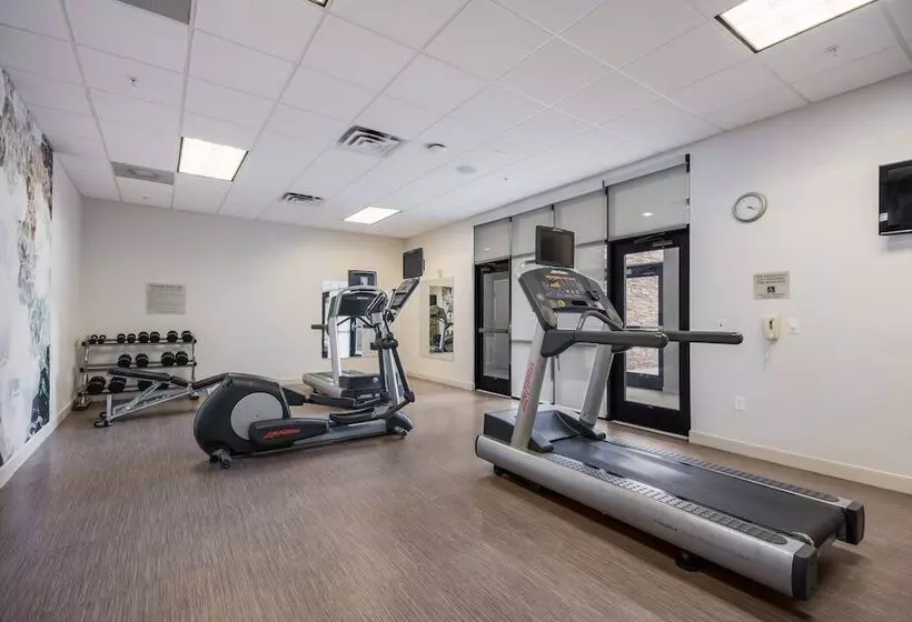 ホテル Springhill Suites By Marriott Enid