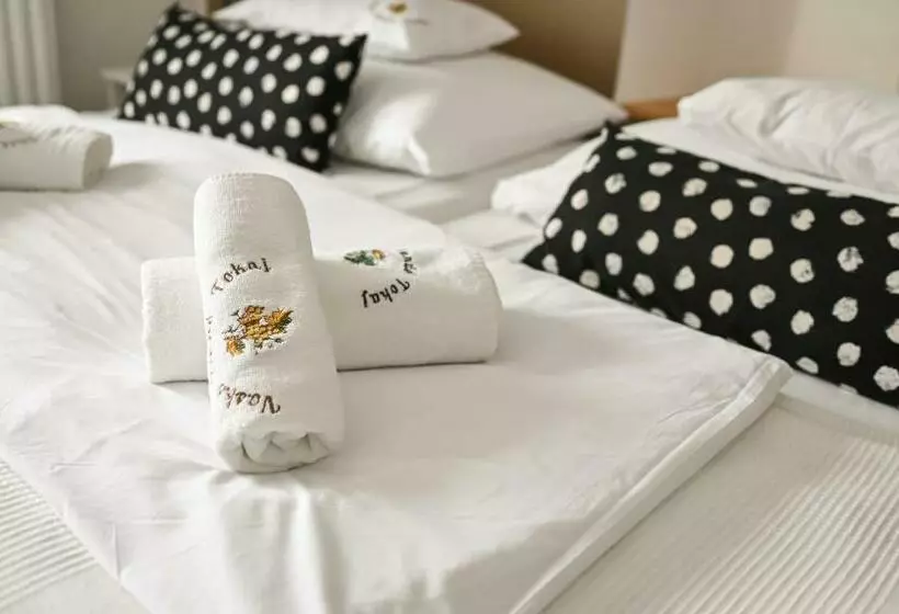 Hotel Vaskó Panzió Borpince