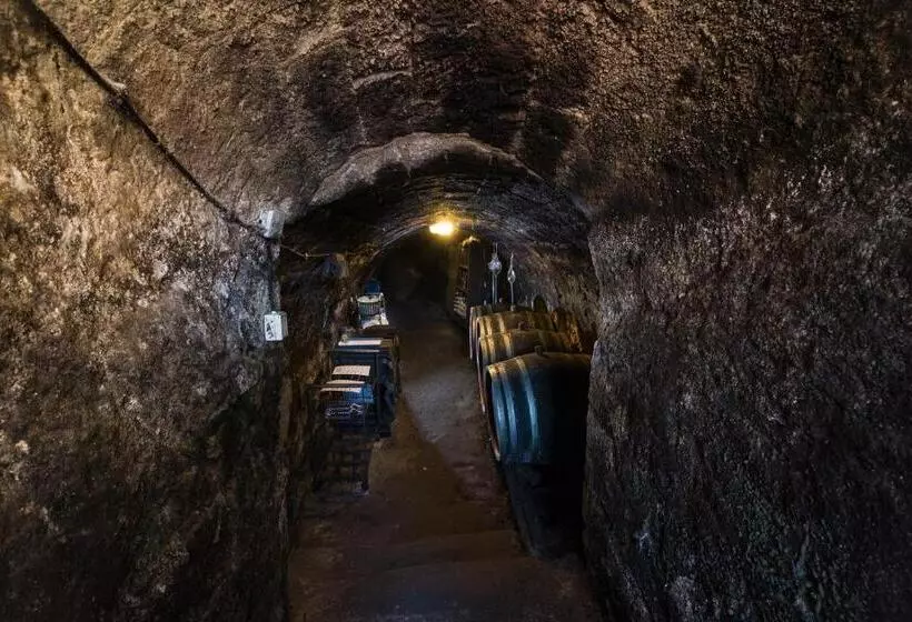 Hotel Vaskó Panzió Borpince