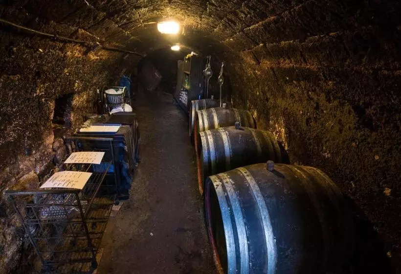 Hotel Vaskó Panzió Borpince