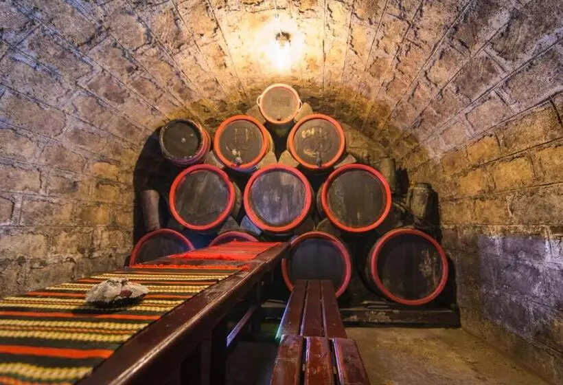 Hotel Vaskó Panzió Borpince