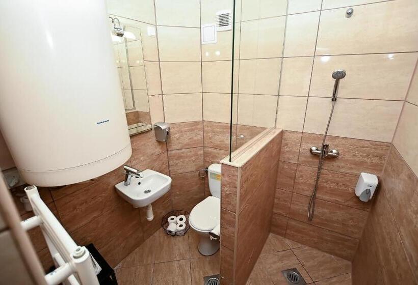 Отель Vaskó Panzió Borpince