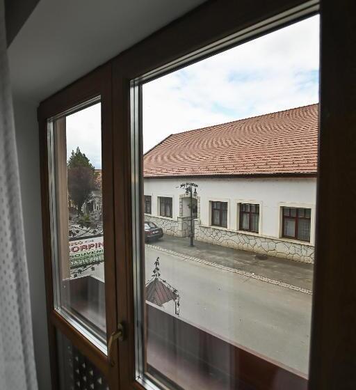 Отель Vaskó Panzió Borpince