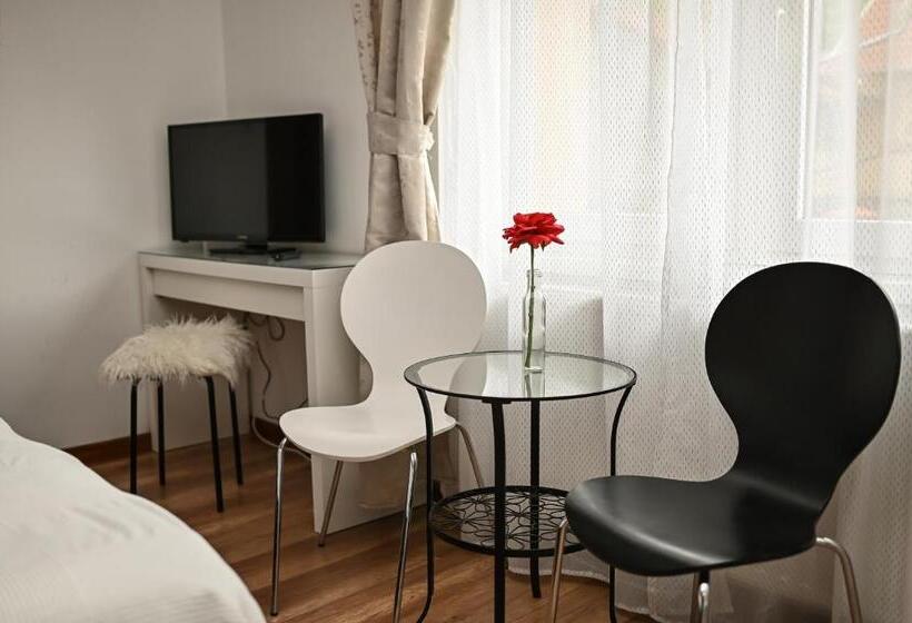 Отель Vaskó Panzió Borpince