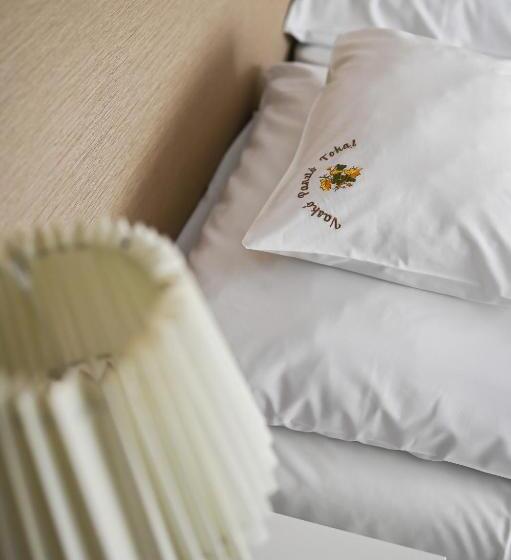 Отель Vaskó Panzió Borpince