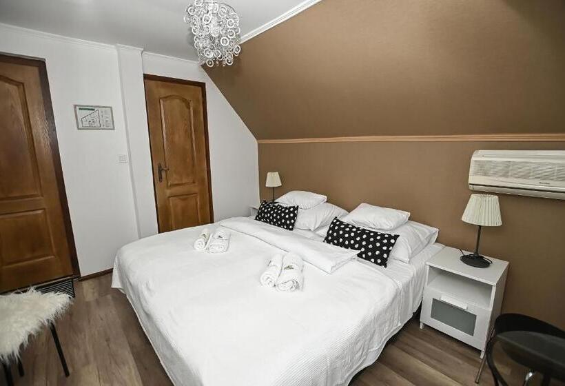 Отель Vaskó Panzió Borpince