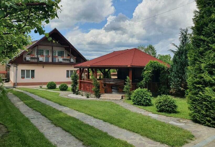 Casa De Vacanta Diana Turnu Rosu