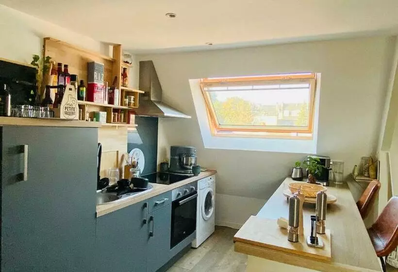 Duplex Centre Ville